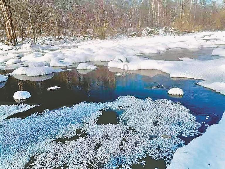 喜报！兰山区在山东省“唱响未来”校歌MV大赛中获佳绩